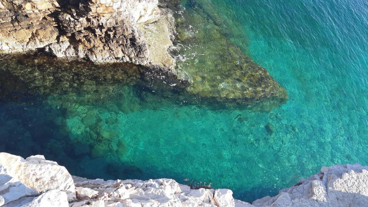 Apartman Diana,Free Parking Pula Dış mekan fotoğraf