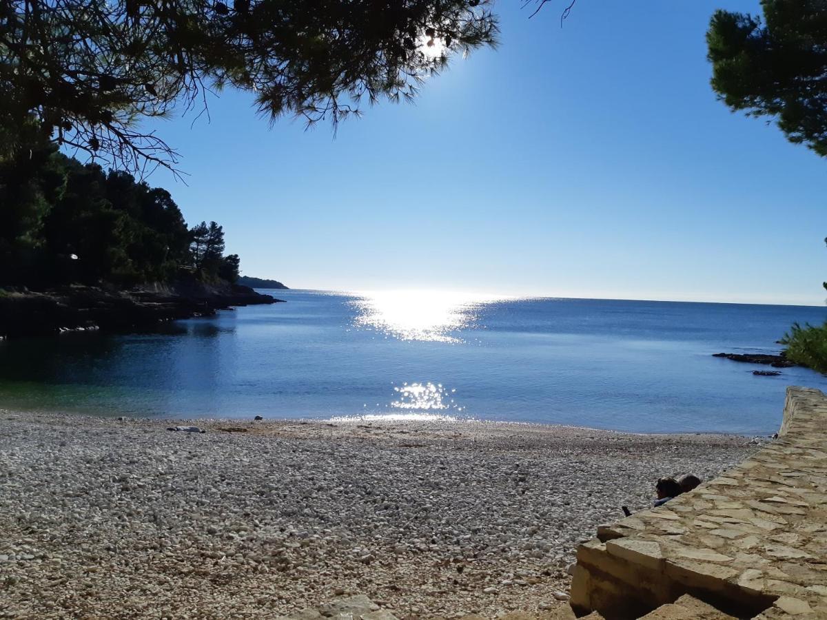 Apartman Diana,Free Parking Pula Dış mekan fotoğraf